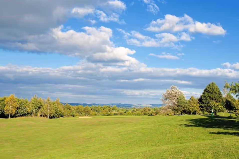 A grass field with trees under a blue sky with clouds.