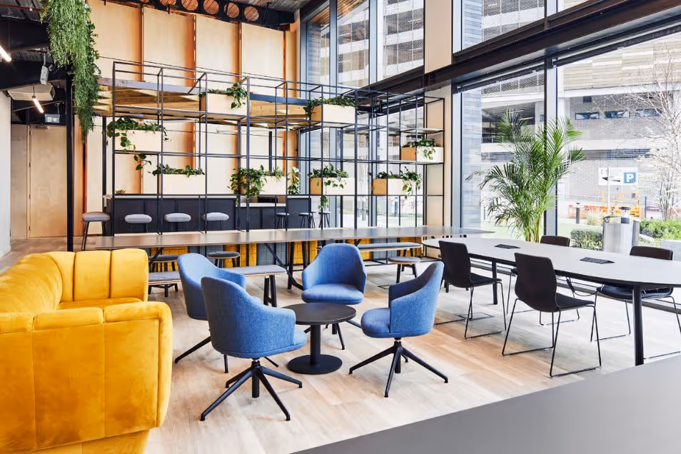 Vibrant coworking space with blue armchairs, a mustard yellow sofa, and an industrial black shelving unit filled with plants.