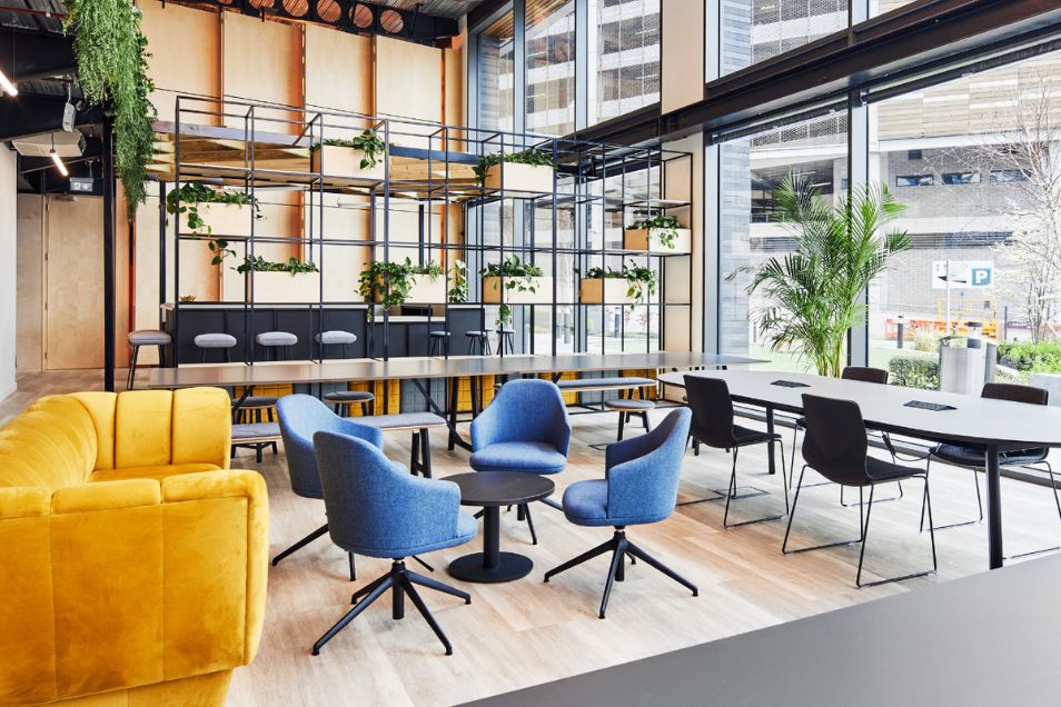 Vibrant coworking space with blue armchairs, a mustard yellow sofa, and an industrial black shelving unit filled with plants.