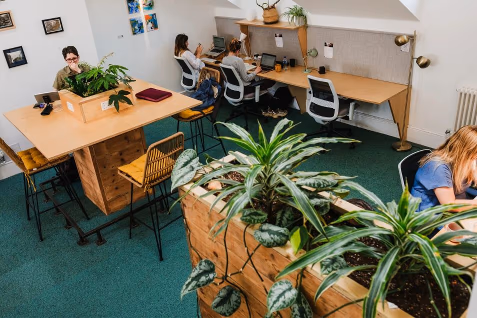 People working at wooden desks in a coworking area decorated with several large indoor potted plants.