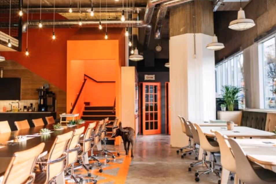 Office space with a long wooden boardroom table and an orange feature wall near a staircase.