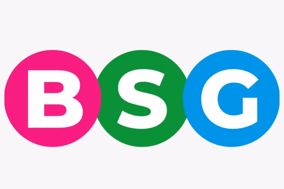 BSG logo with bold white letters inside pink, green and blue circular icons.