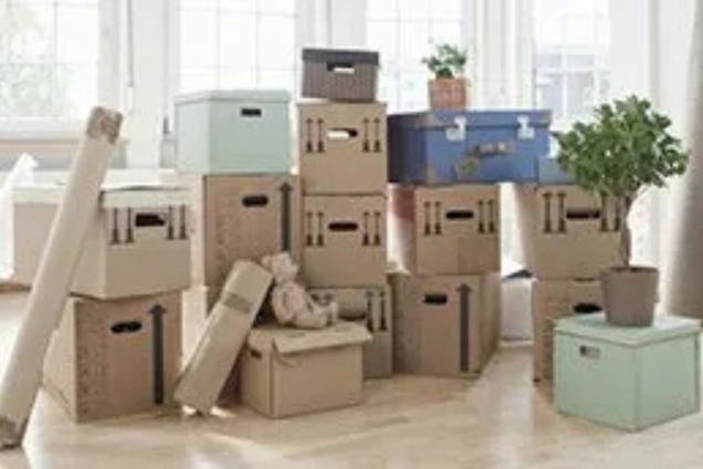 A stack of cardboard boxes, blue cases, and storage bins piled in the middle of a room next to a plant.