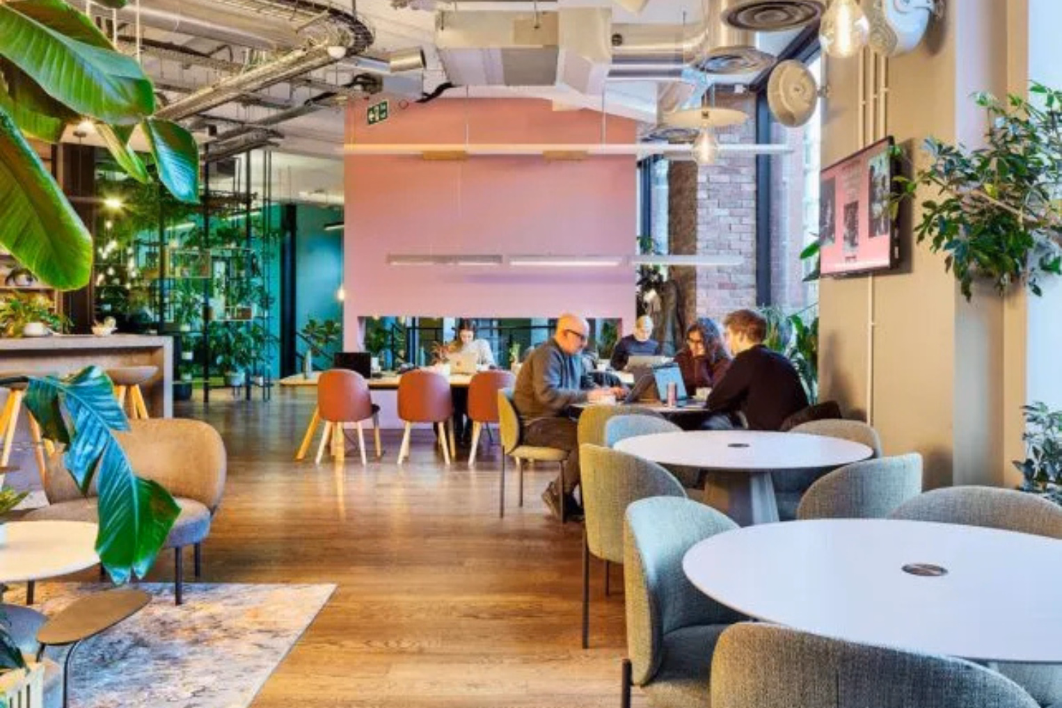People use their laptops at white tables with grey chairs and a wood desk with orange chairs. A pink wall and plants on a wood floor under silver pipes.