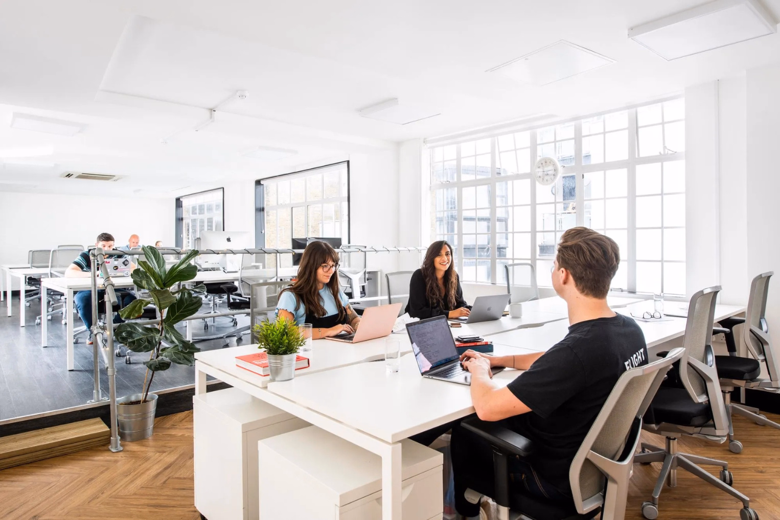 People use laptops at white desks with grey chairs in a room with windows, plants, and a wood floor.