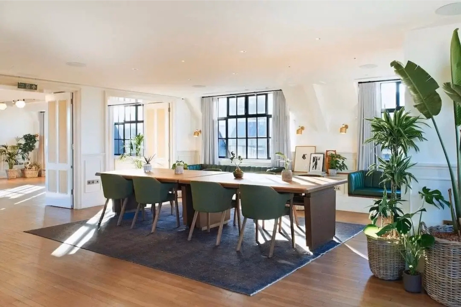 Green chairs at a wooden table on a blue rug on a wooden floor. Green benches stand near windows and plants.