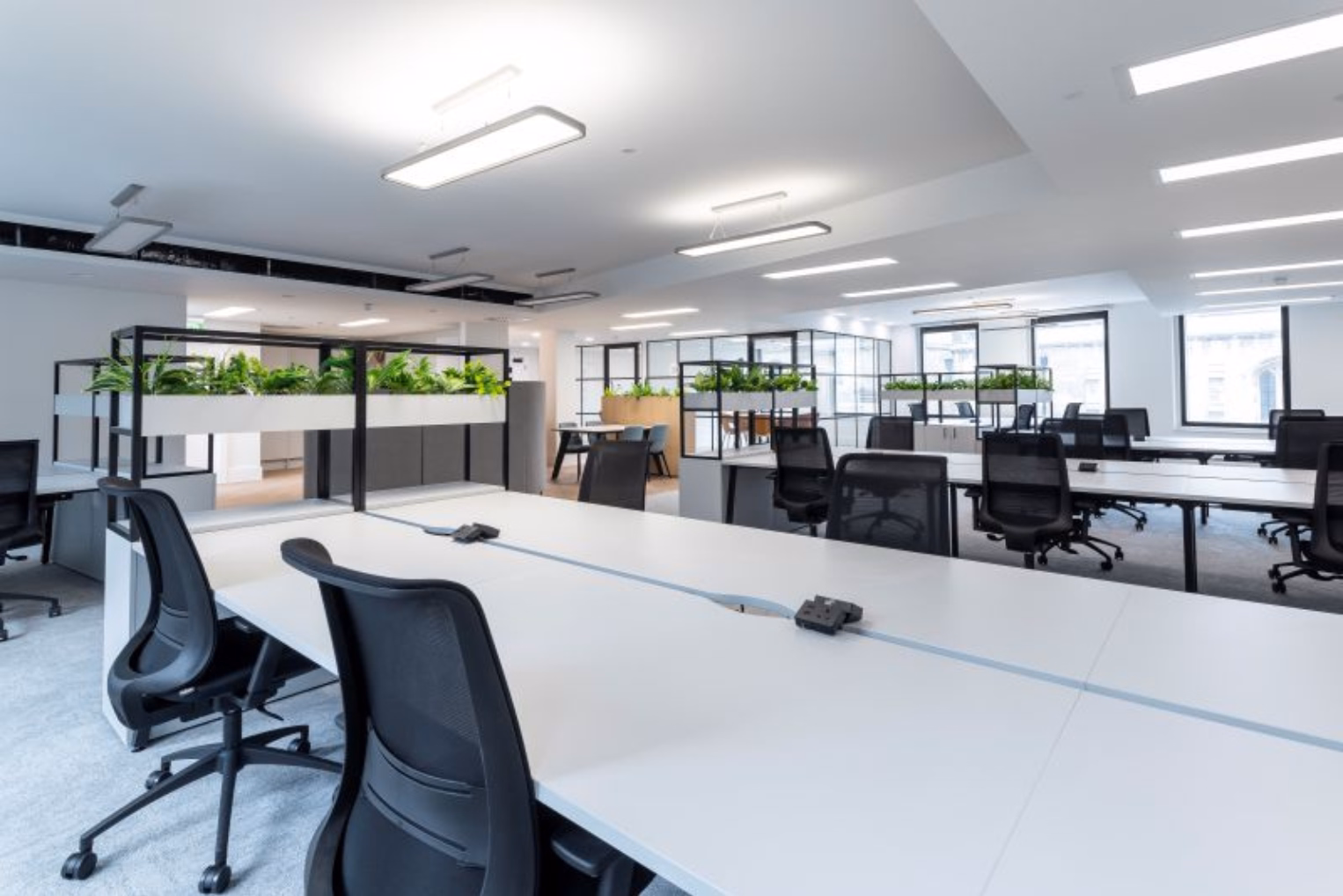 Black chairs sit at white desks on a grey floor. Black shelves with plants stand near glass walls under ceiling lights.