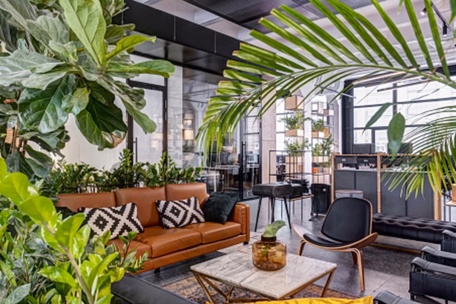 Office lounge area filled with green plants and a brown leather sofa with patterned cushions, a marble-topped coffee table, and a black accent chair.