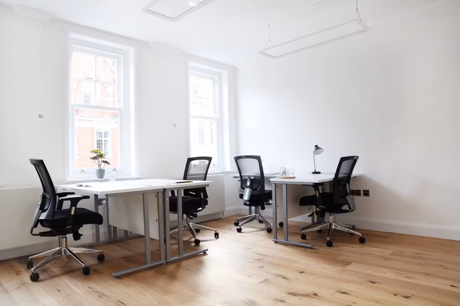 Black mesh chairs with white desks on a light wood floor in a white-walled office featuring two large sash windows.