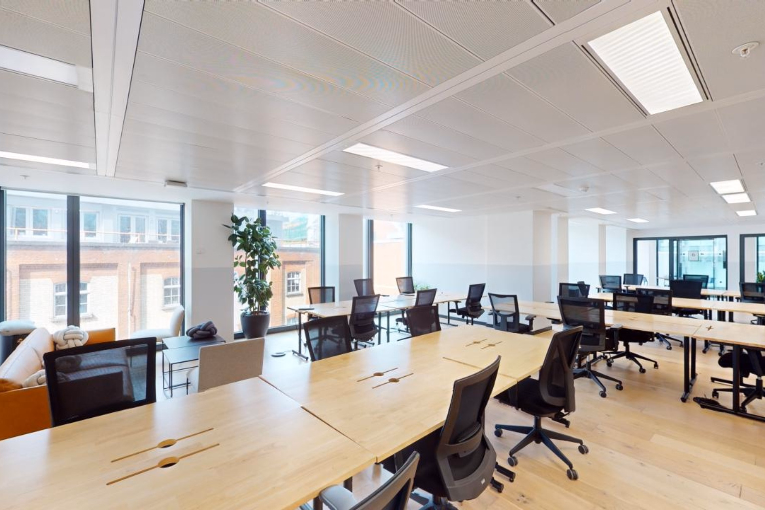 Black mesh chairs at long, light-wood desks in an open-plan workspace featuring large floor-to-ceiling windows with a city view and a tall potted plant.