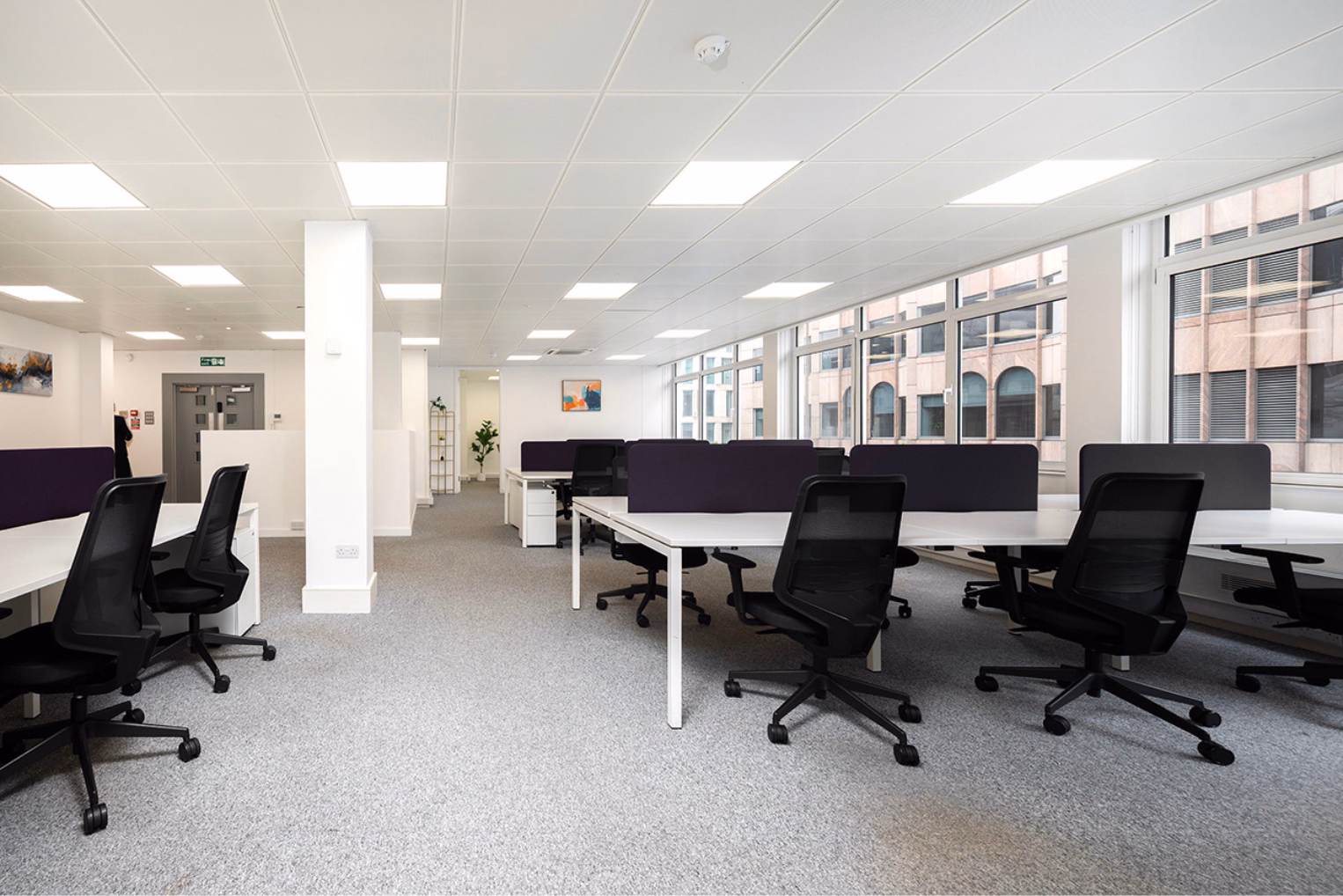 Black rolling chairs at white desks separated by purple privacy screens in a bright open-plan office, which features panel ceiling lighting and large windows.
