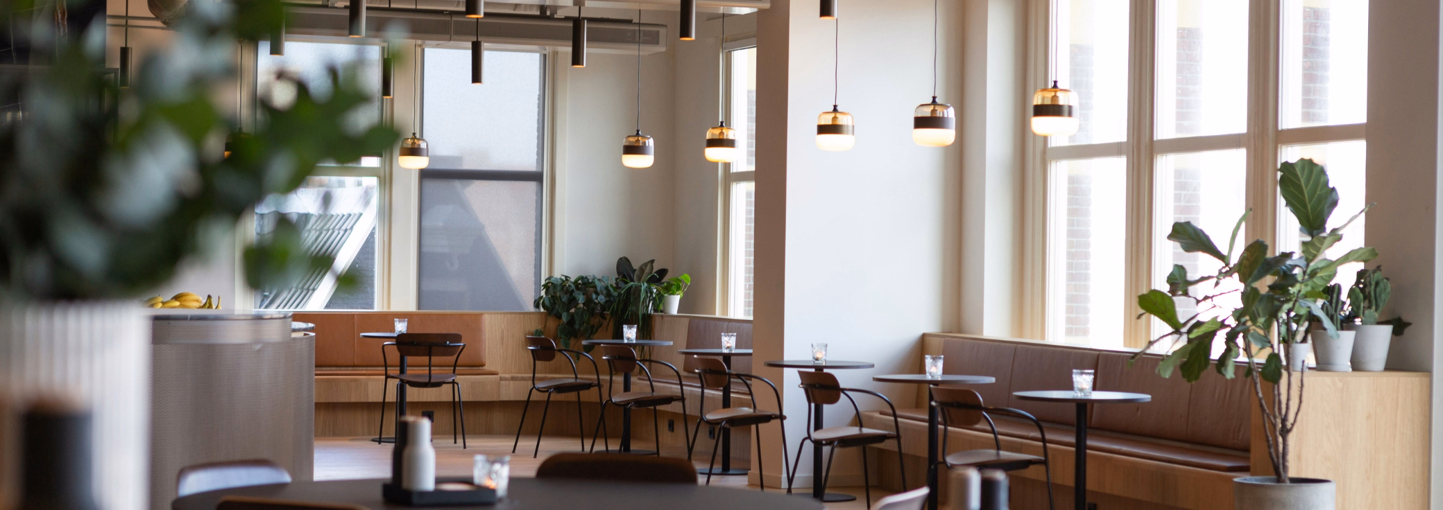 What is WeWork? Its history, services & FAQ