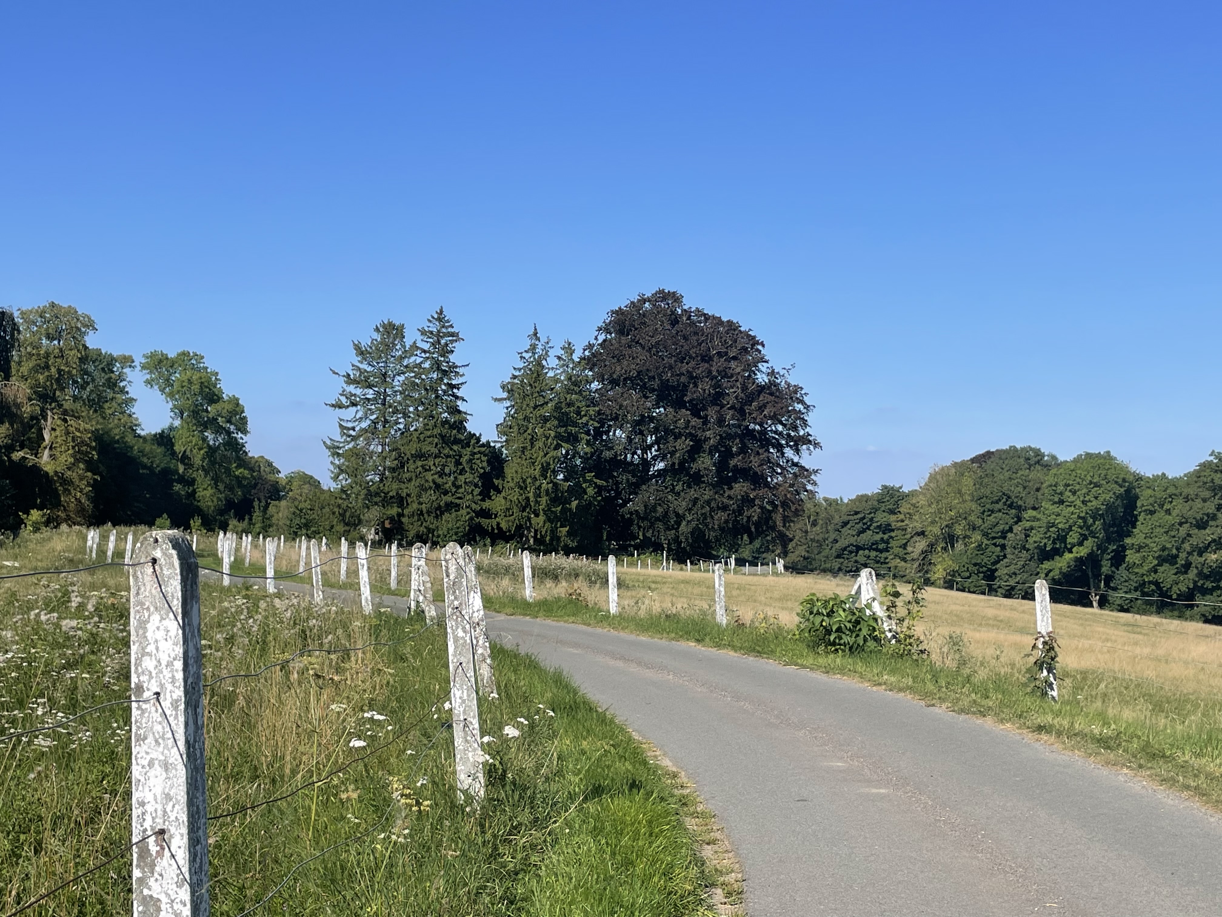 Chemin menant au Haras de Baudemont