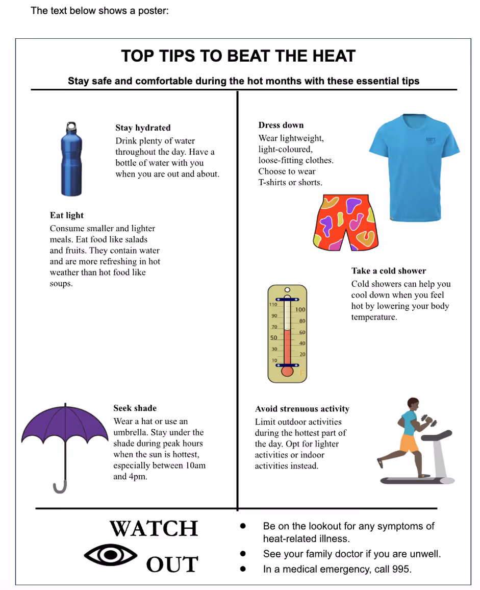 An image of an example of PSLE’s visual text comprehension that combines visuals and words (e.g., posters, infographics, advertisements)