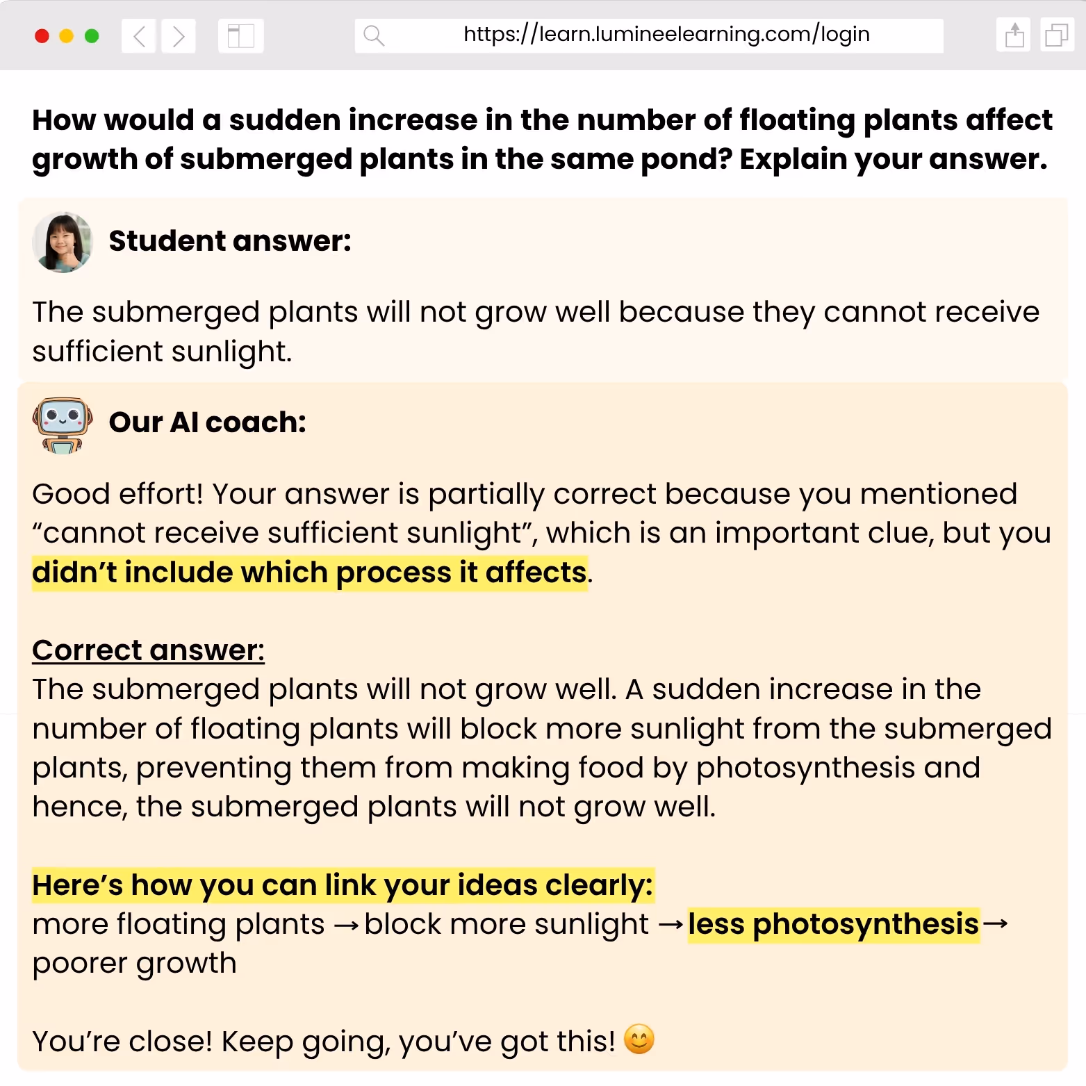 Students using Luminee’s AI tutor to receive instant personalised learning feedback, ideal for Singapore primary students preparing for exams.