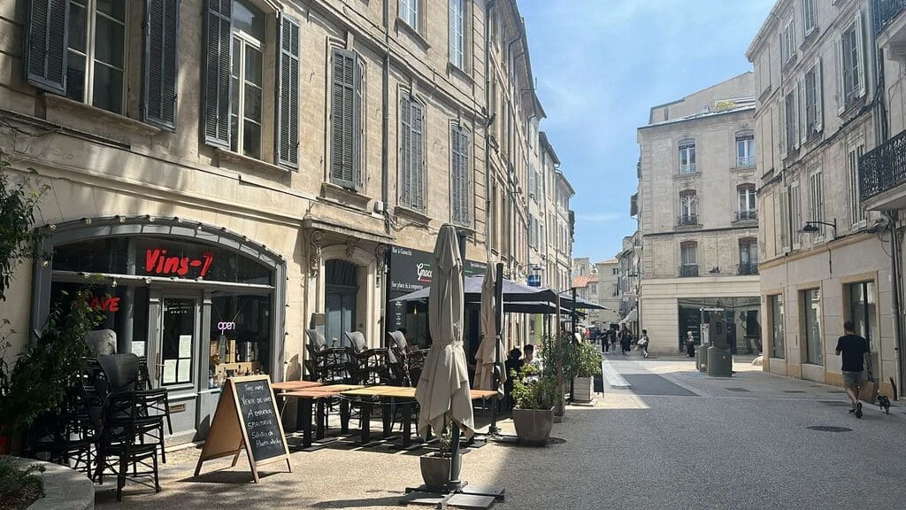 Photo d'une rue commerçante d'Avignon