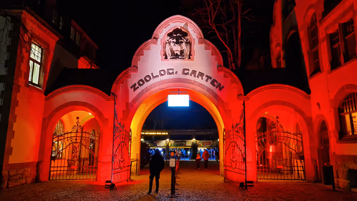 Entrance arch to Zoologischer Garten zoo illuminated with red lights at night.