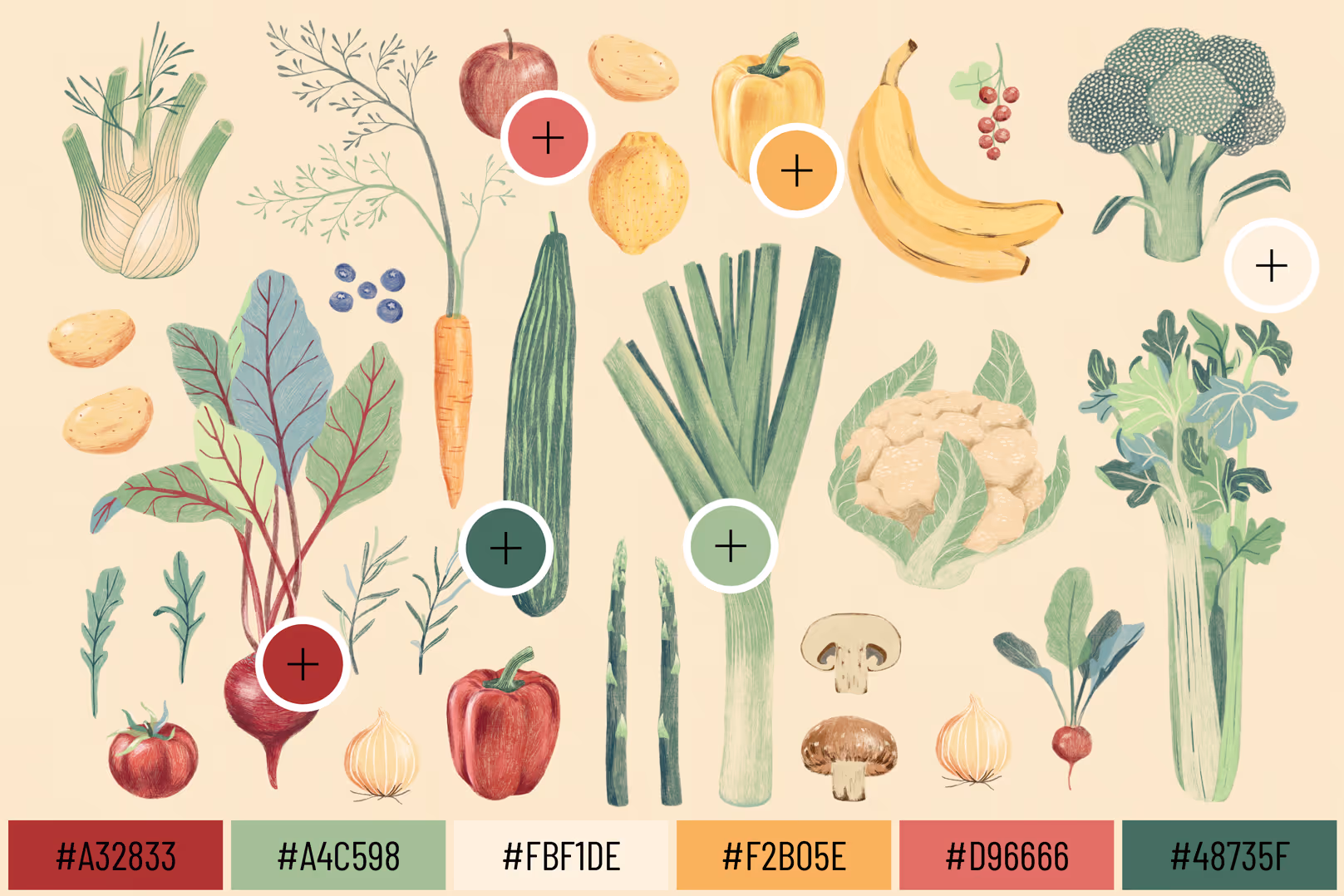 Illustration of various vegetables and fruits including fennel, apple, potato, carrot, cucumber, asparagus, leek, bell peppers, mushrooms, cauliflower, broccoli, celery, tomato, onion, beets, and radish with color swatches and hex codes below.