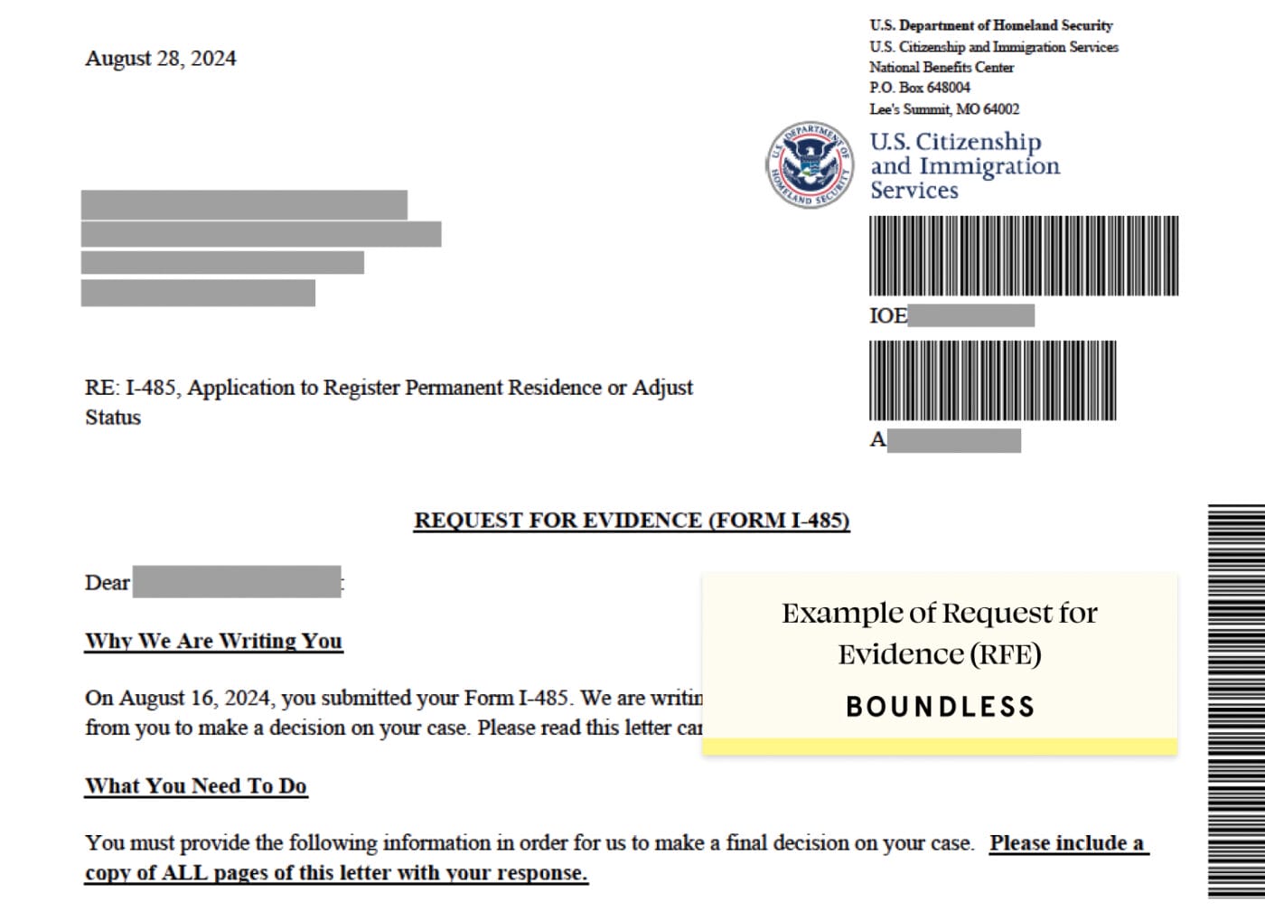 Example of Request for Evidence (RFE) Letter 2024