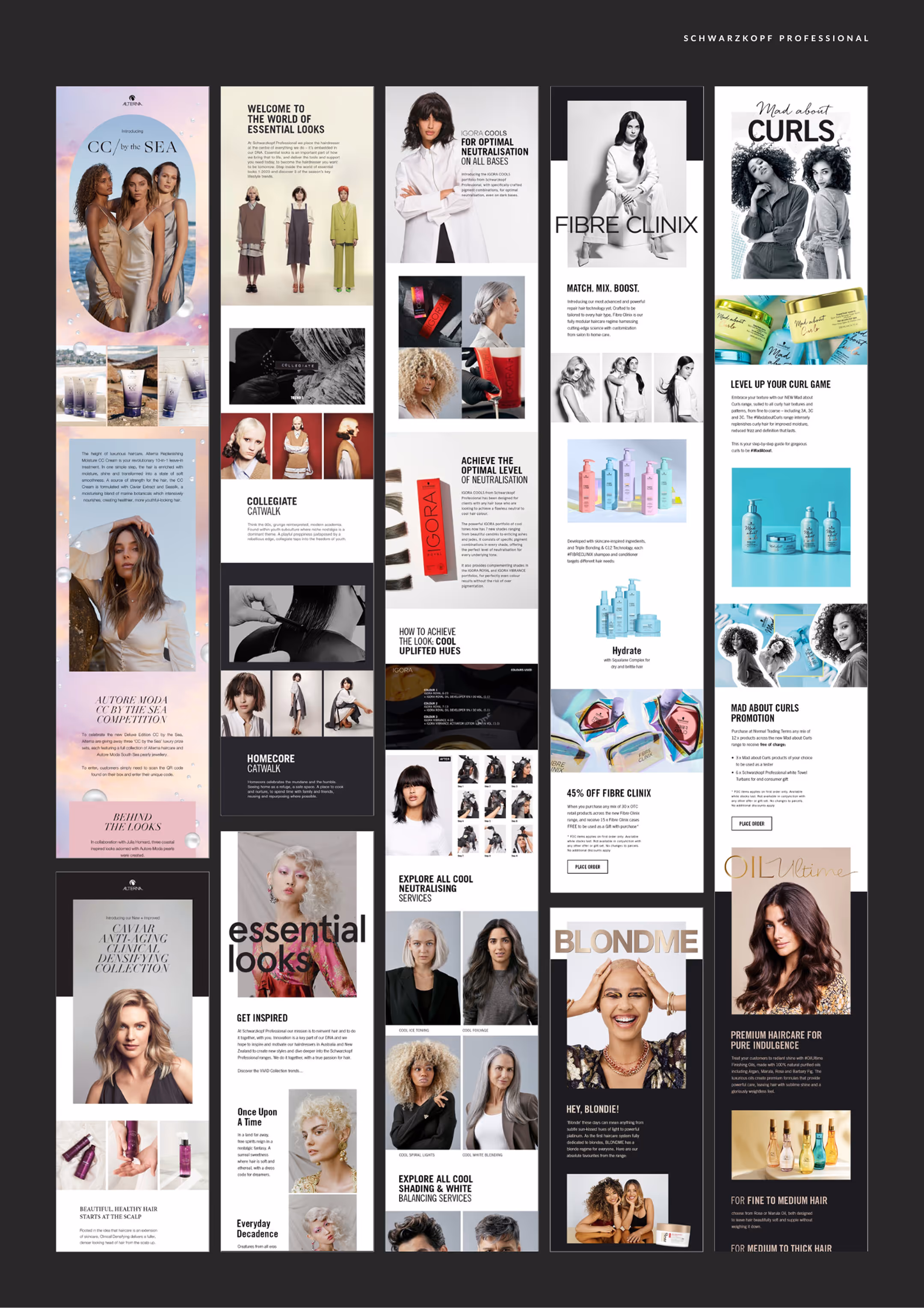 a screenshot of a website