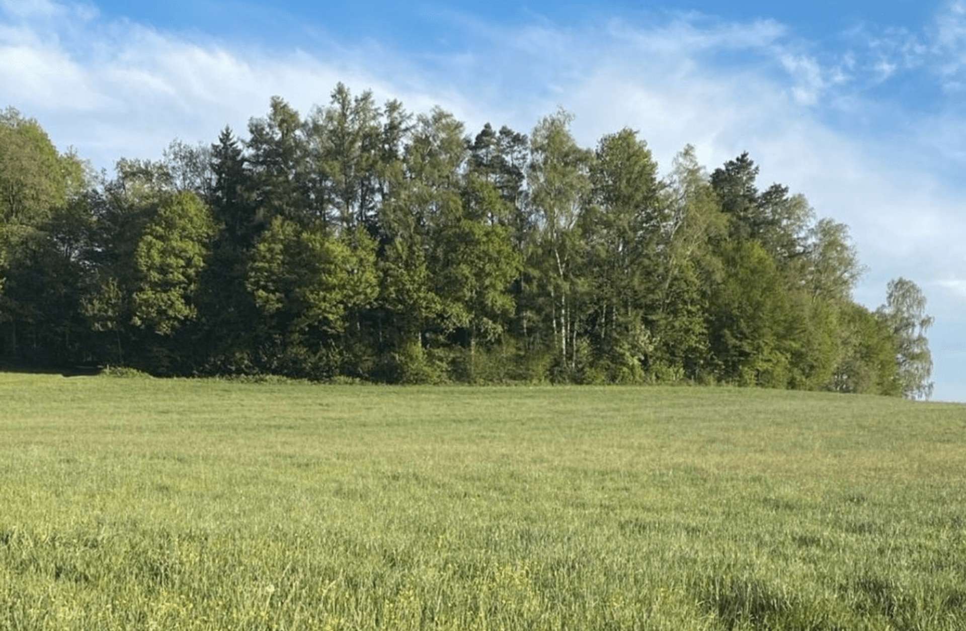 Blick nach Süden