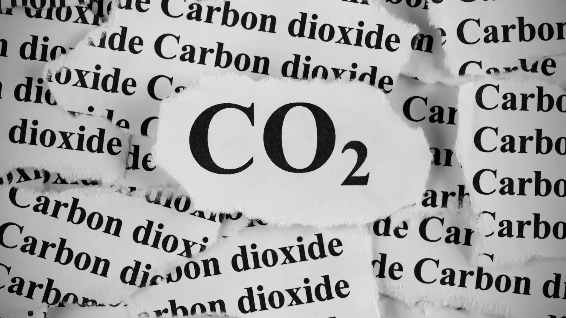 Close-up image of torn paper labels showing CO₂ and carbon dioxide text.