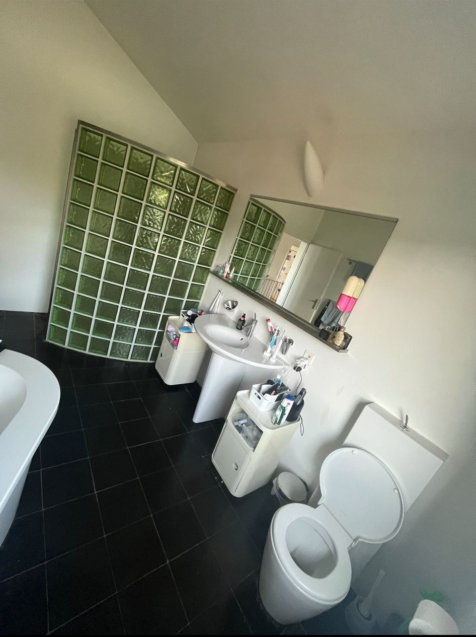 Modern bathroom with black tiled floor, white toilet with open lid, pedestal sink, large mirror, and corner glass block shower wall.