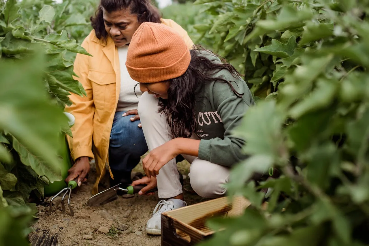 Community Garden: Growing Together