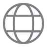 Globe icon