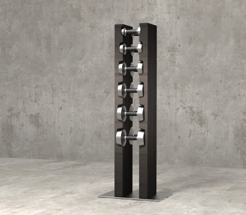 luxury dumbbells with dumbbell rack 