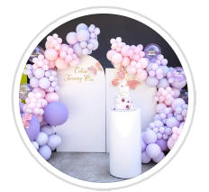 Balloon Stylist