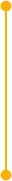 Section Line Divider
