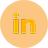 linkedIn logo icon