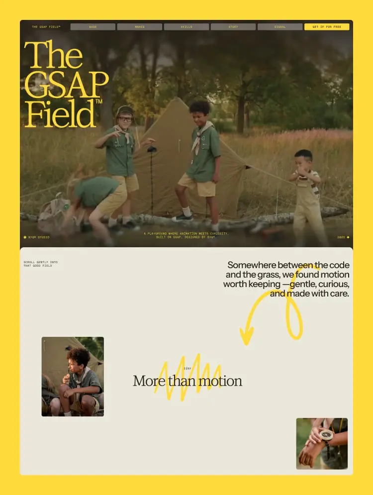 The GSAP Field