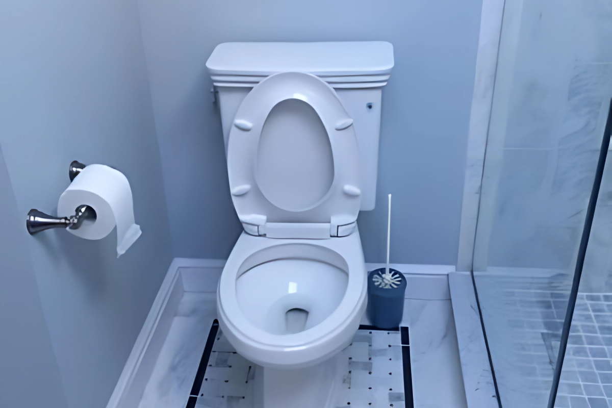 New Bathroom Toilet