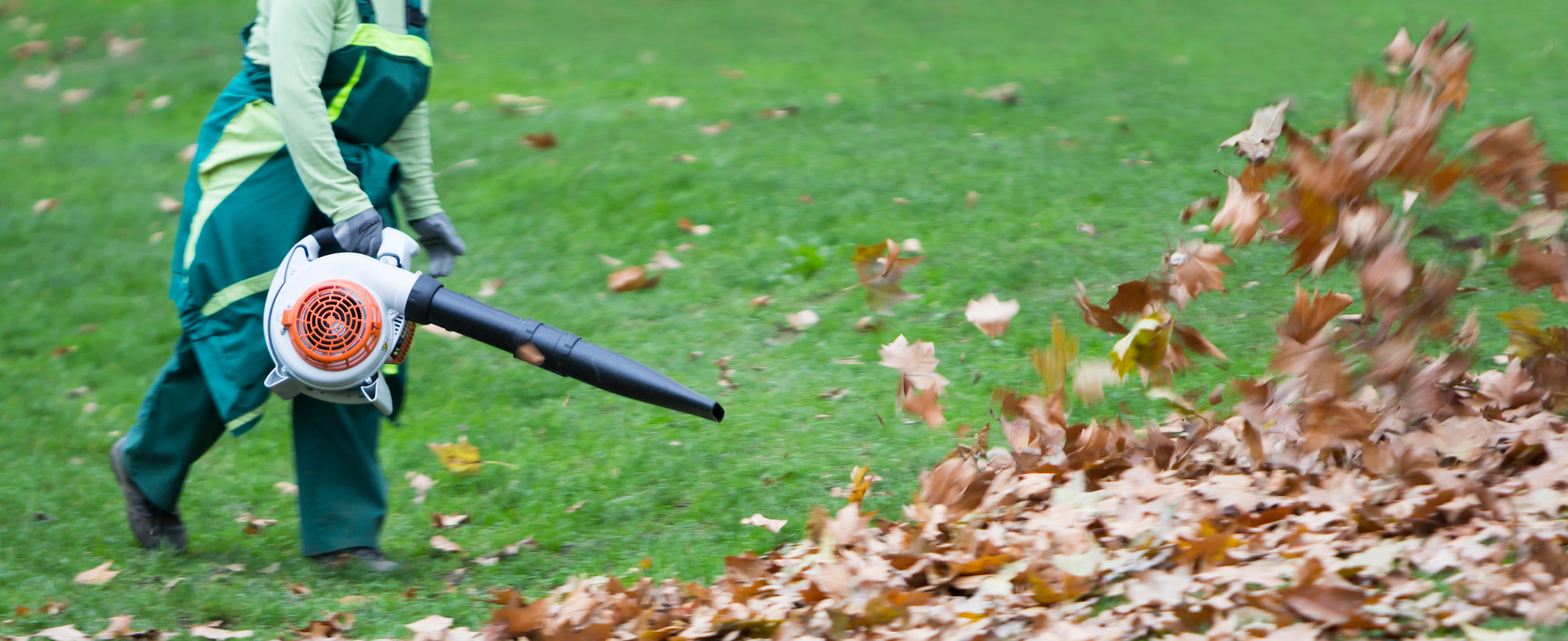 Fall Cleanup Services in Connecticut: Leaf Removal, Gutter Cleaning & Yard Prep
