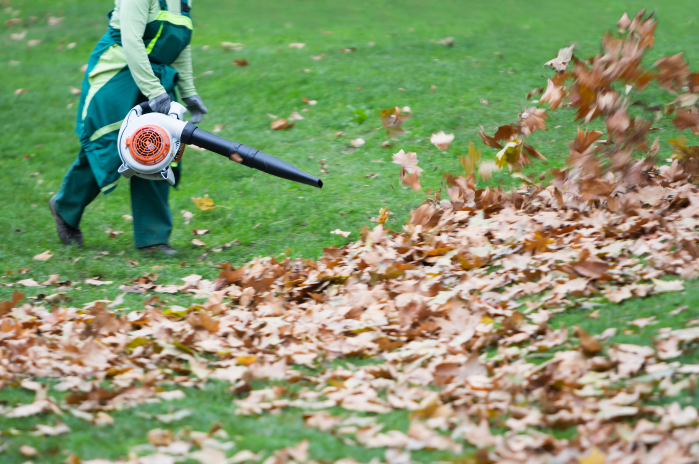 Fall Cleanup Services in Connecticut: Leaf Removal, Gutter Cleaning & Yard Prep