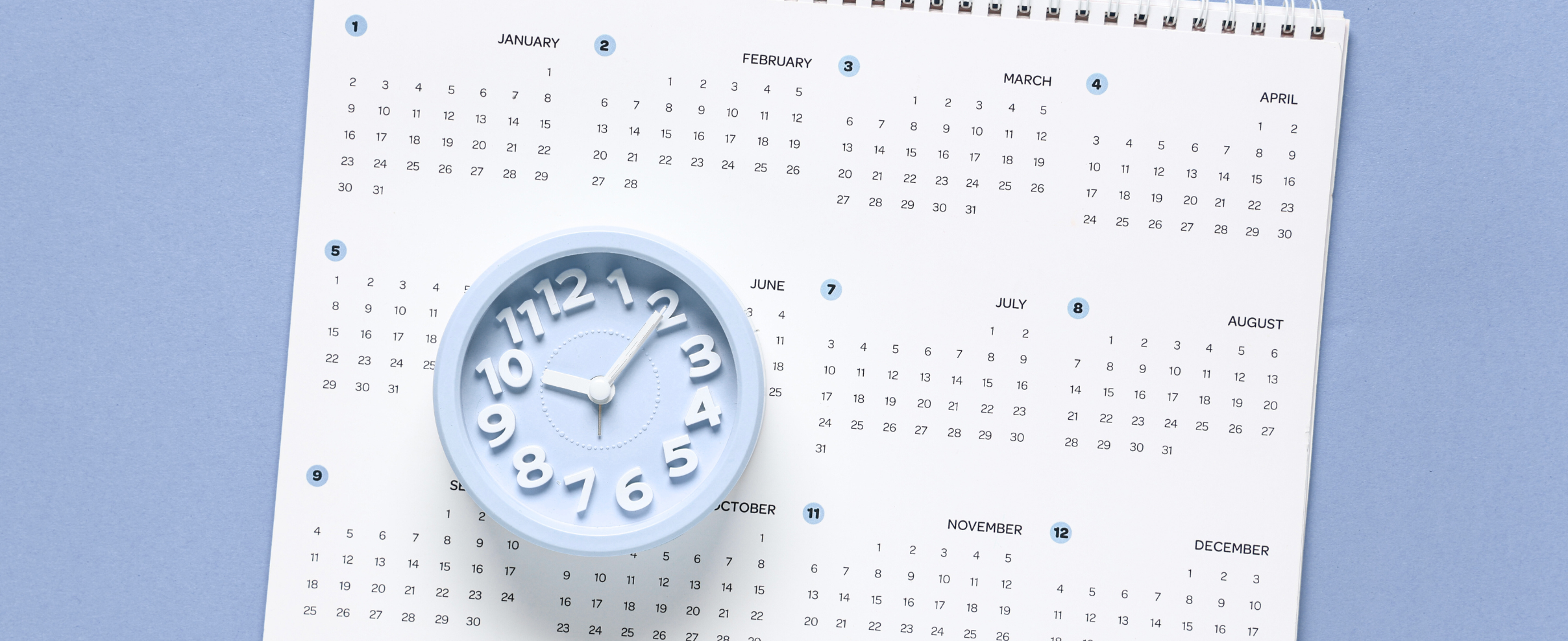 CT Home Maintenance Calendar: Monthly Tasks that Prevent Repairs