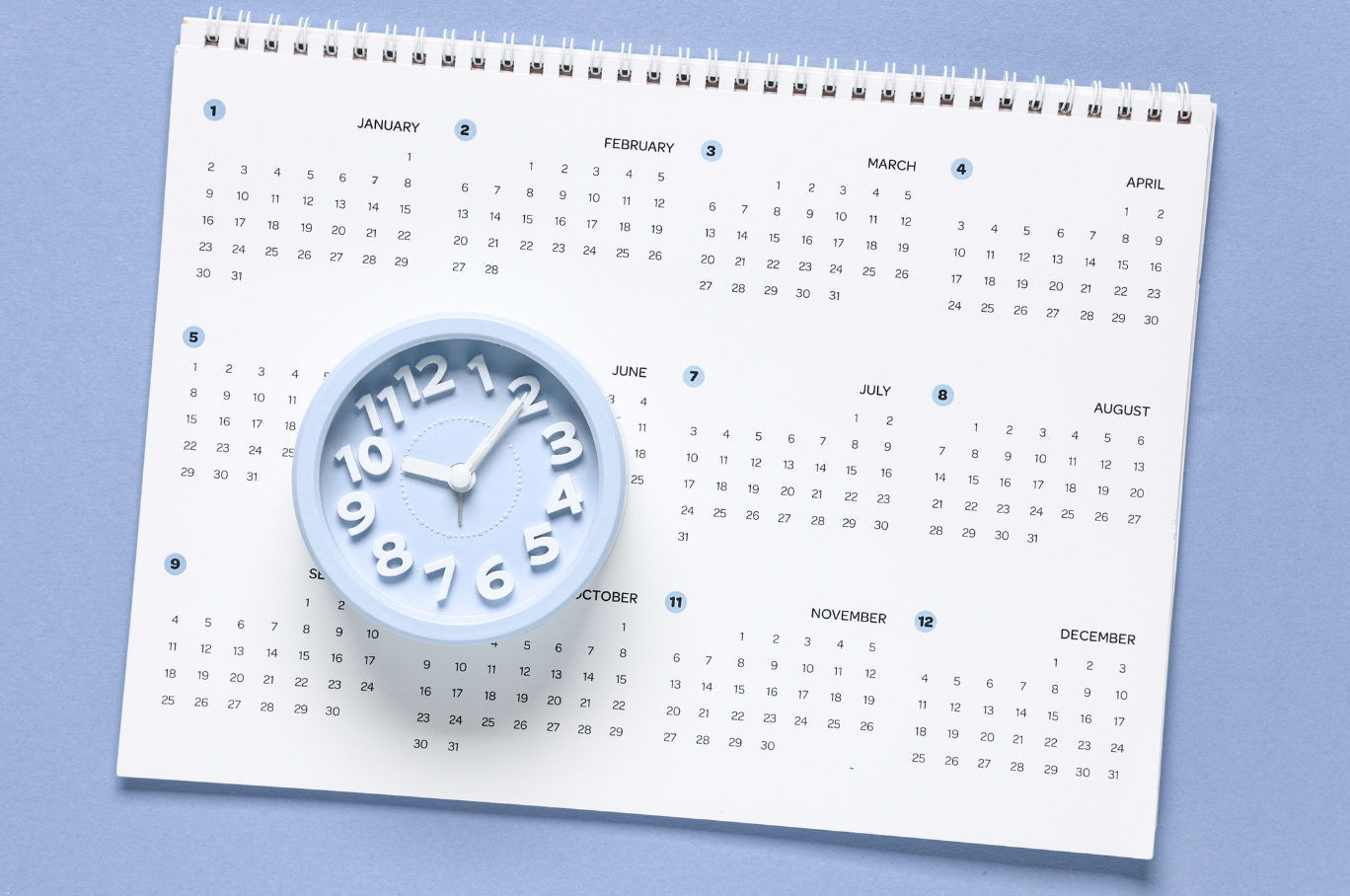 CT Home Maintenance Calendar: Monthly Tasks that Prevent Repairs