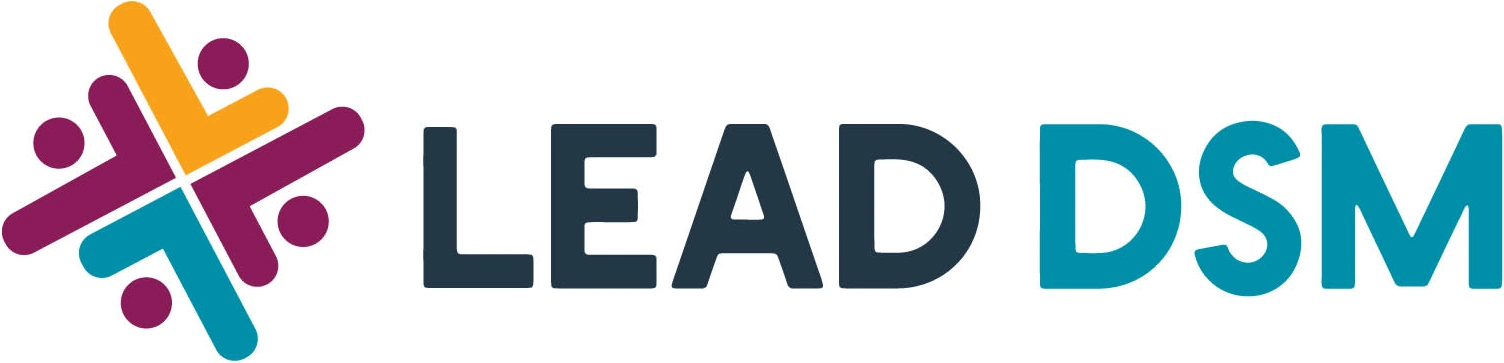 Lead DSM