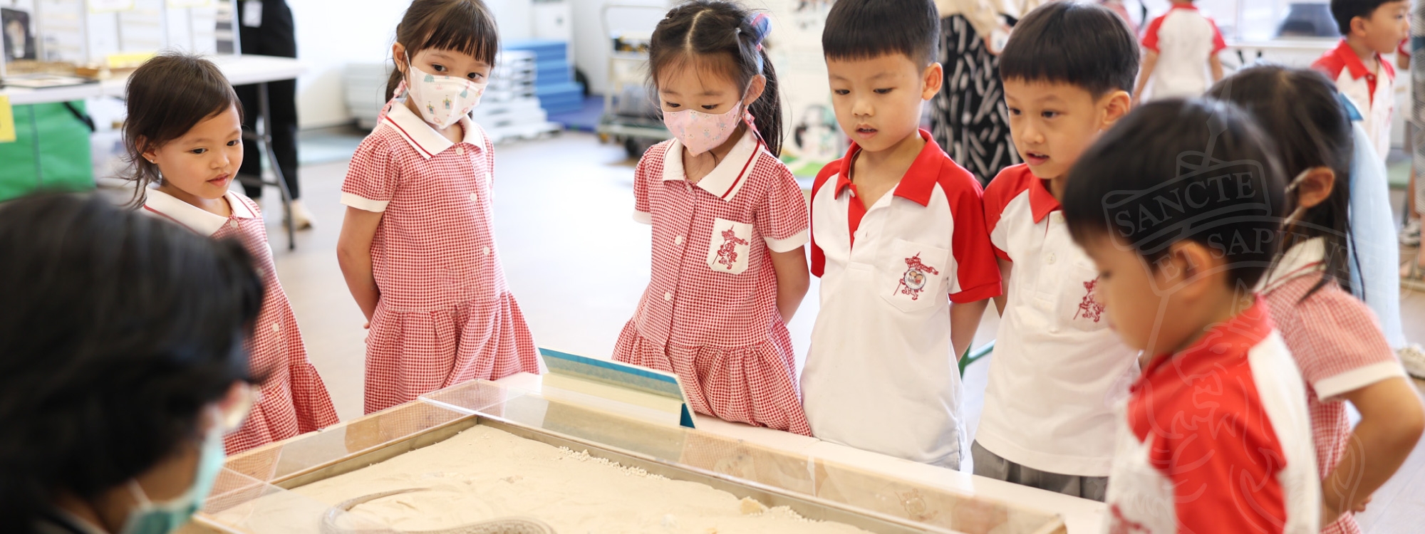 A close-up petting experience with snakes and lizards wowed our young learners