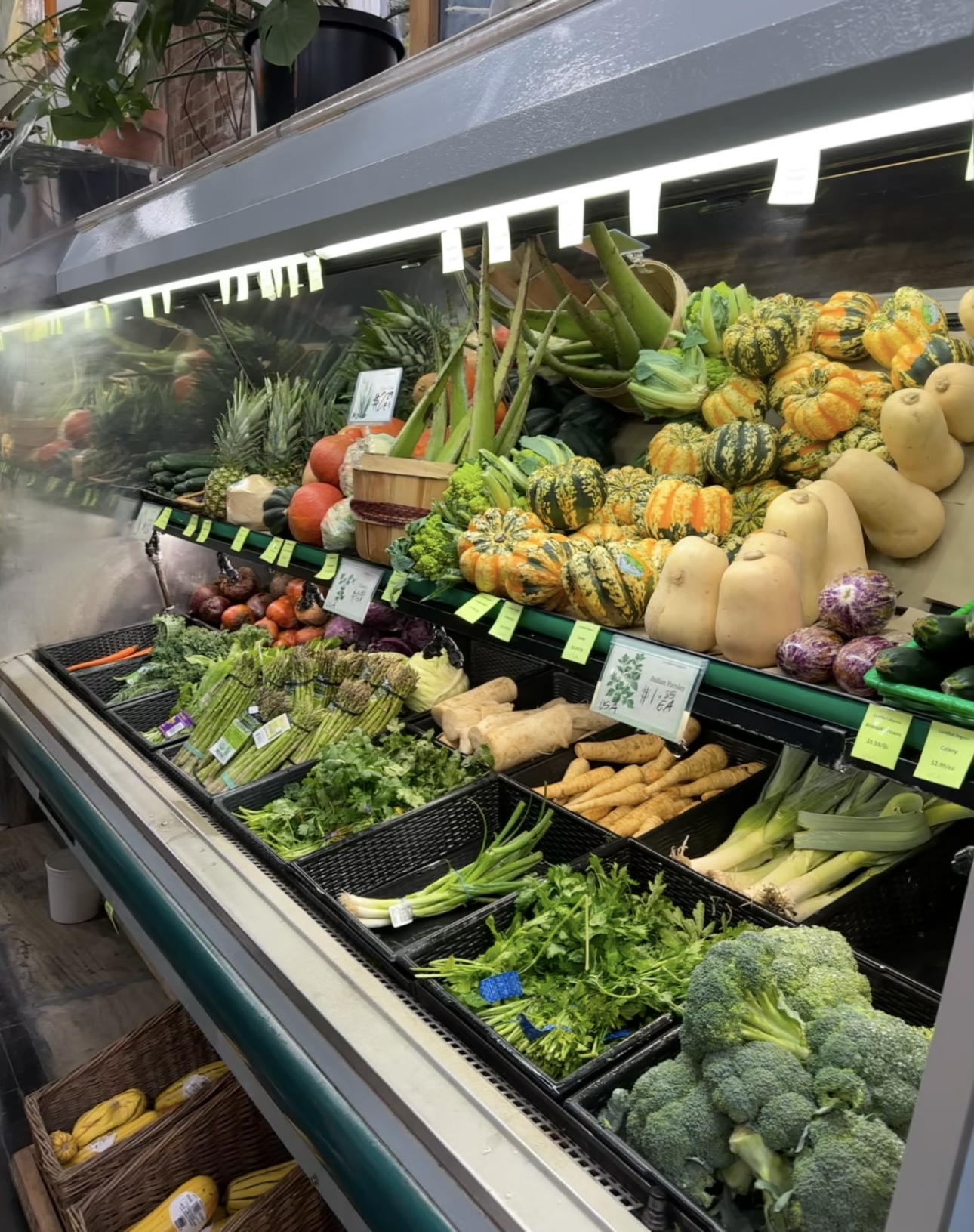 image of personal training session (for a gym)