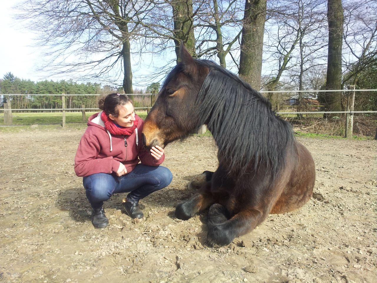 Frau in roter Jacke hockt neben einem liegenden braunen Pferd und streichelt es liebevoll, draußen auf einem Reitplatz.