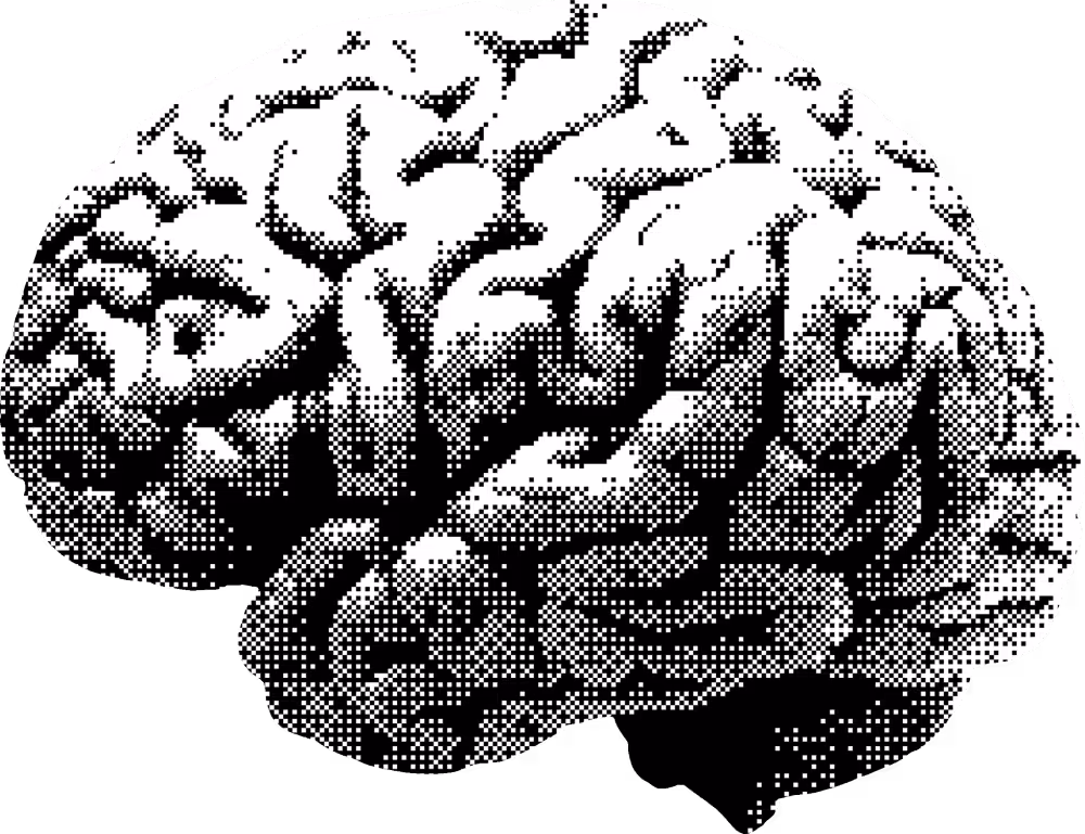 Bitmap brain