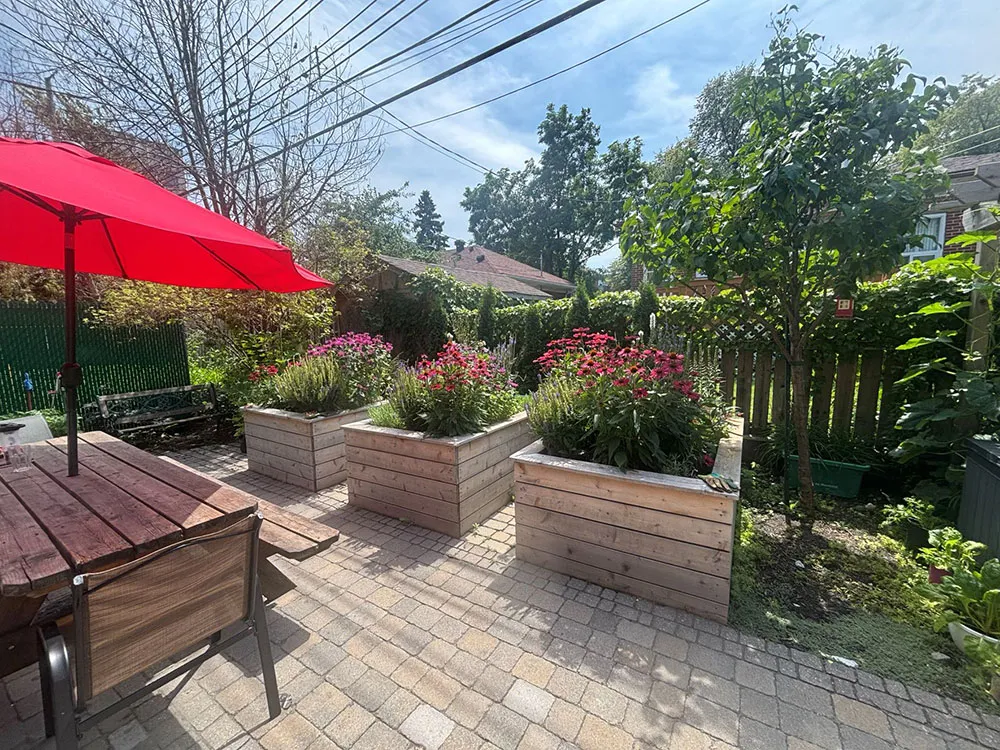 photo de cour-reduite 