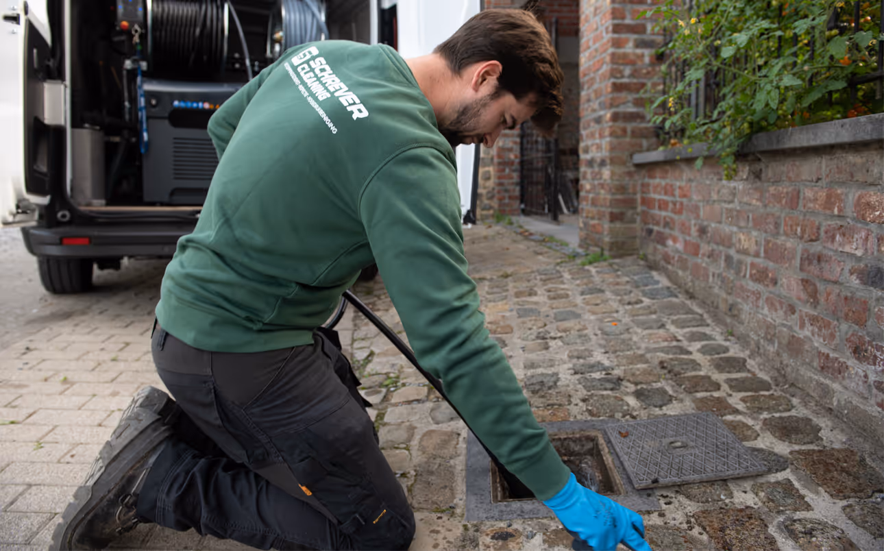 Bert cleaning service pit