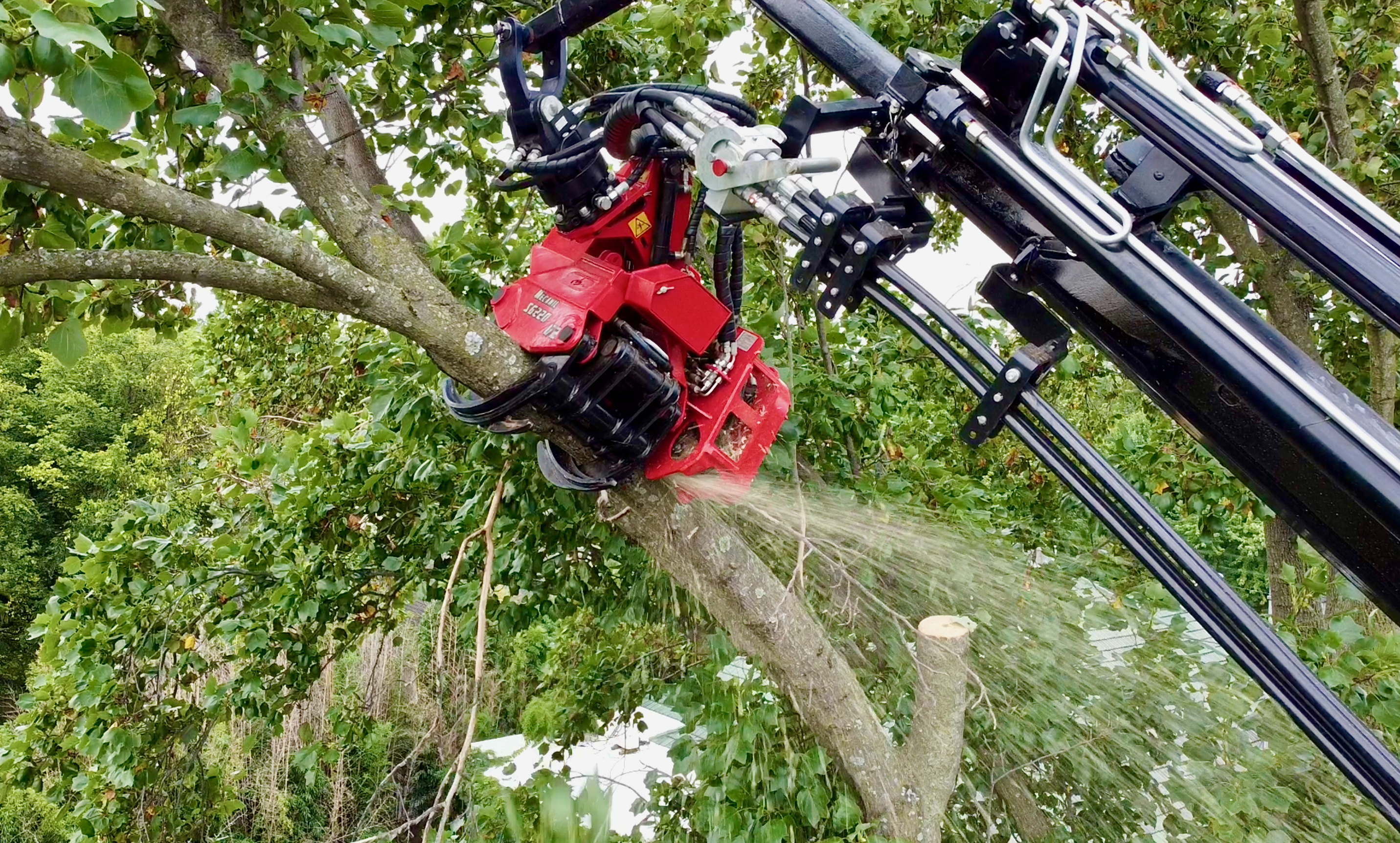 Close-up of the BIK 112 grapple saw crane's Mecanil cutting head slicing through a tree branch, with sawdust spraying from the cut.