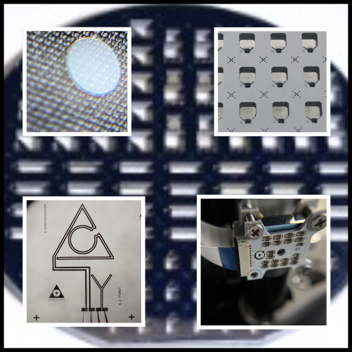 Wafer Scale Products