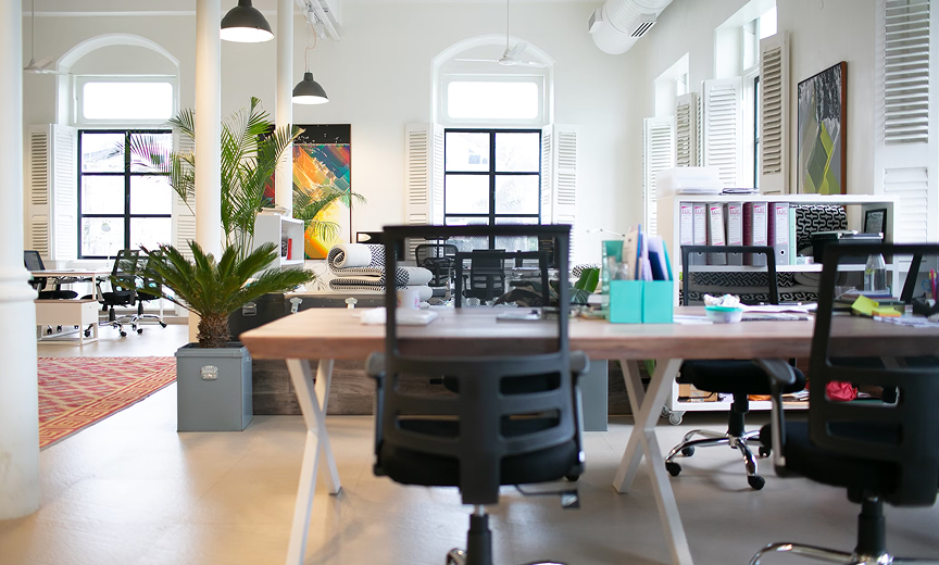 a picture of a modern empty office, with plants and colorful artwork on the walls and tall windows with internal wooden shutters open