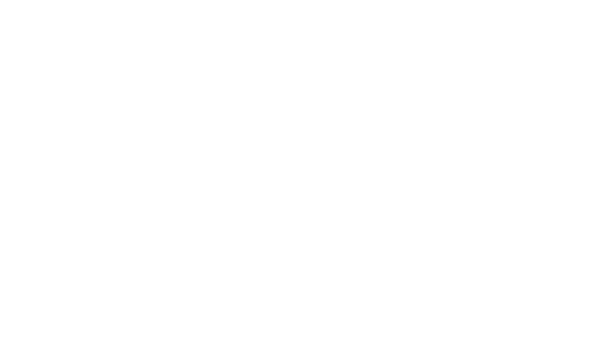 PAI wordmark